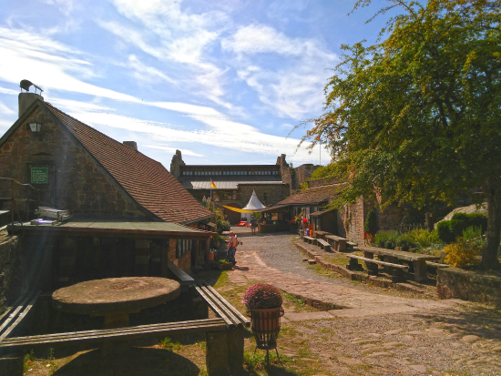 Auf dem Höhenweg zur Madenburg 2019